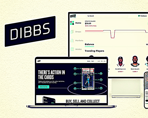 Image of Dibbs infrographic