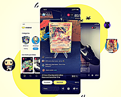 Image of Whatnot infographic