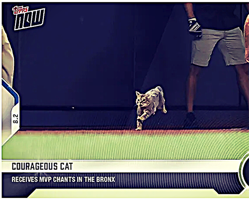 Image of Topps Now Card